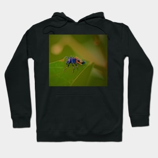 THE NYMPH OF THE FOREST Hoodie